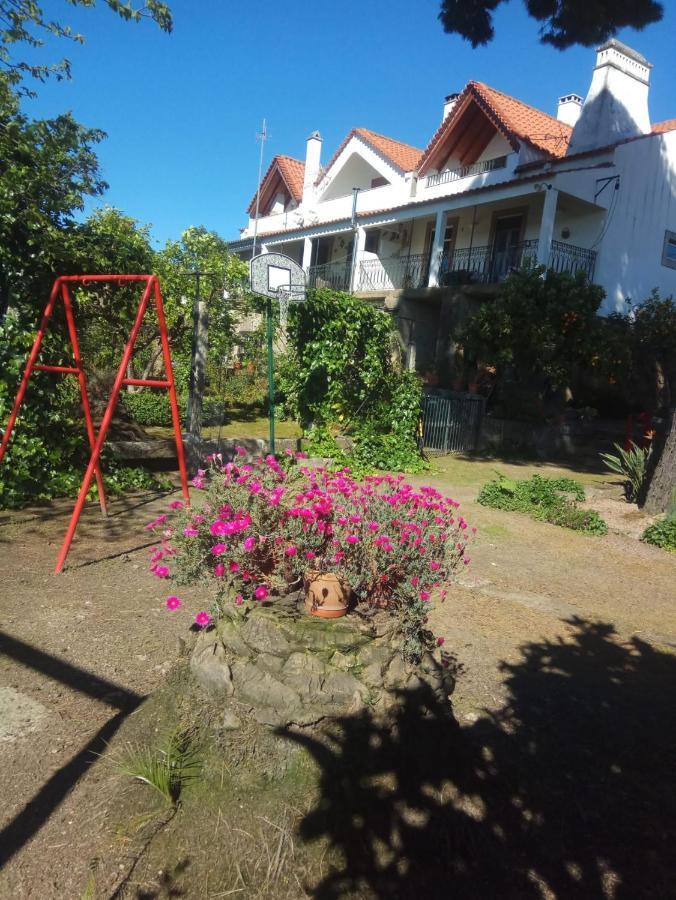 Casa Do Balcao Guest House Alcains Exterior photo