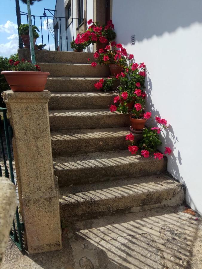 Casa Do Balcao Guest House Alcains Exterior photo